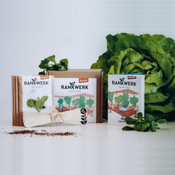 Saatgut Box Salatbar Im Angebot